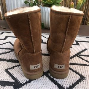 Men's UGGs Classic Short Boot in Chestnut Size 12